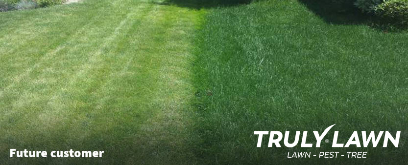 Customers lawn before and after