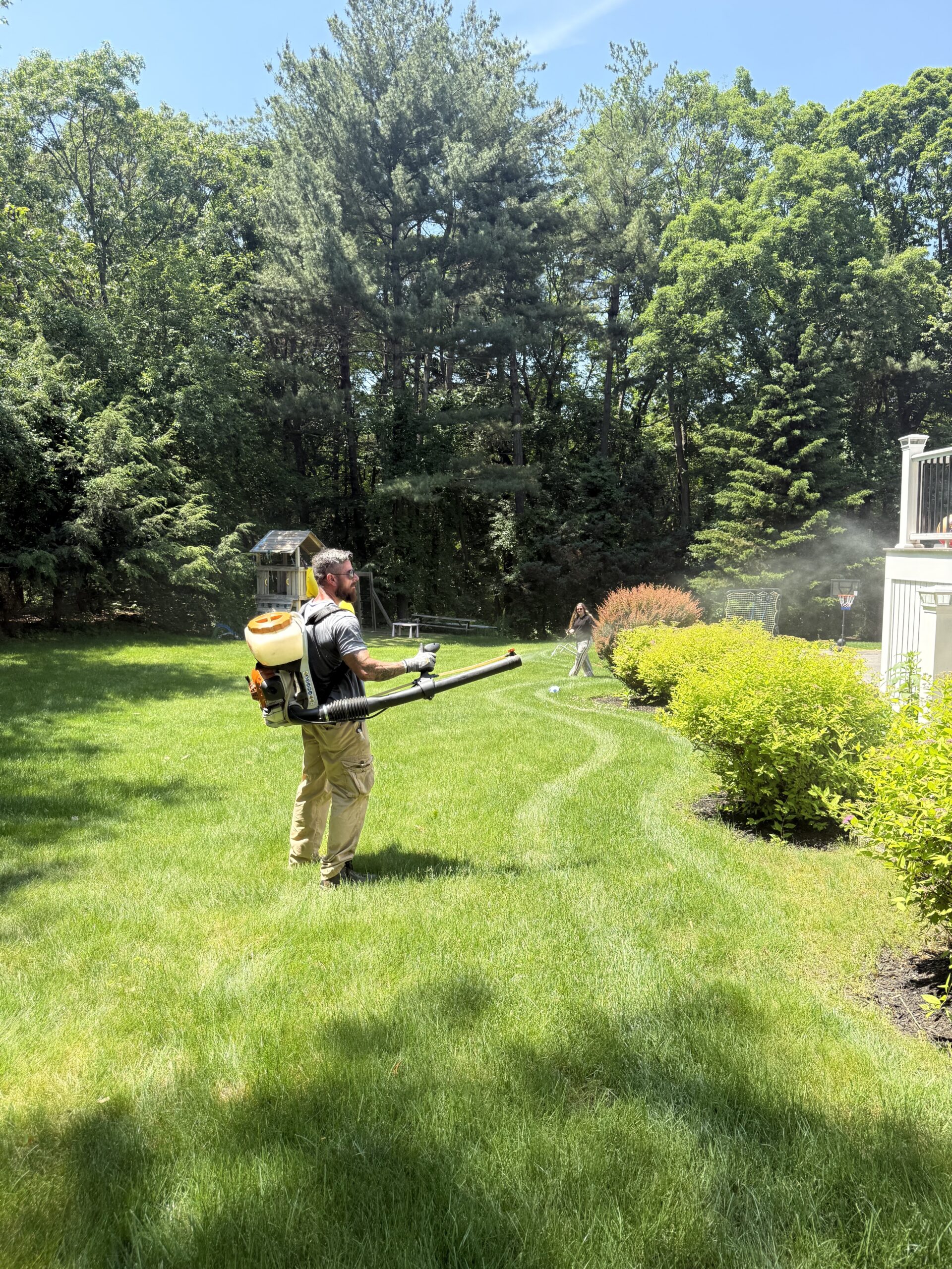 Truly Lawn mosquito control service