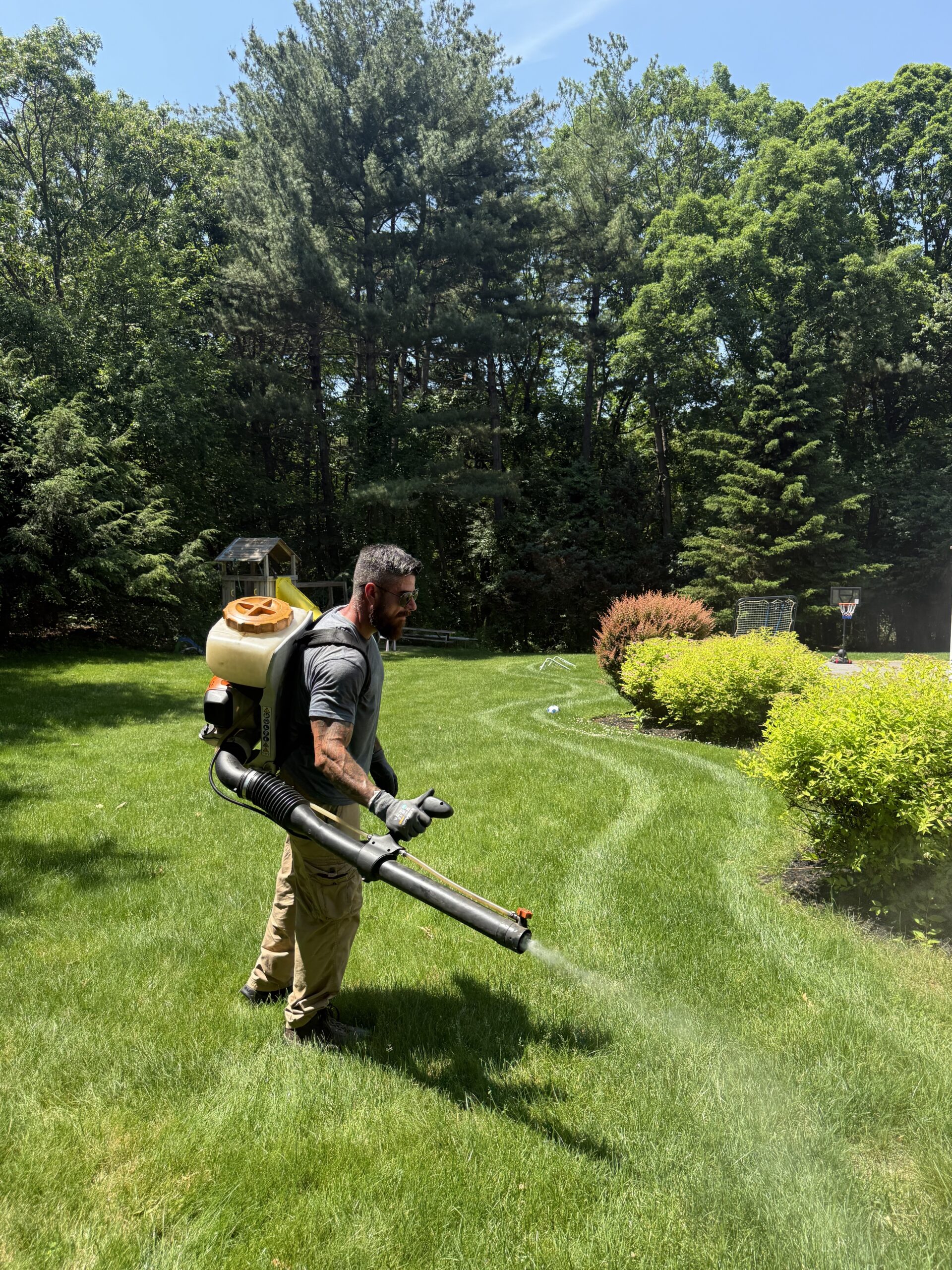 Backyard mosquito control application in Massachusetts