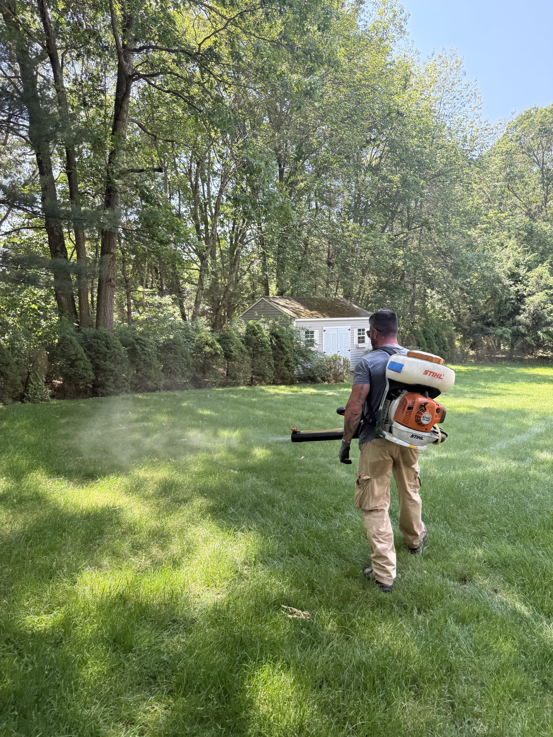 Professional mosquito treatment for outdoor living areas