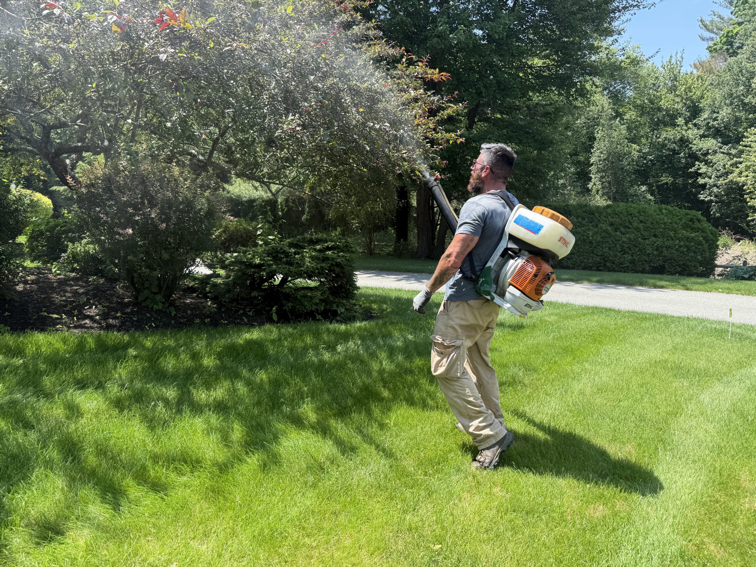 Tree and shrub care by Truly Lawn