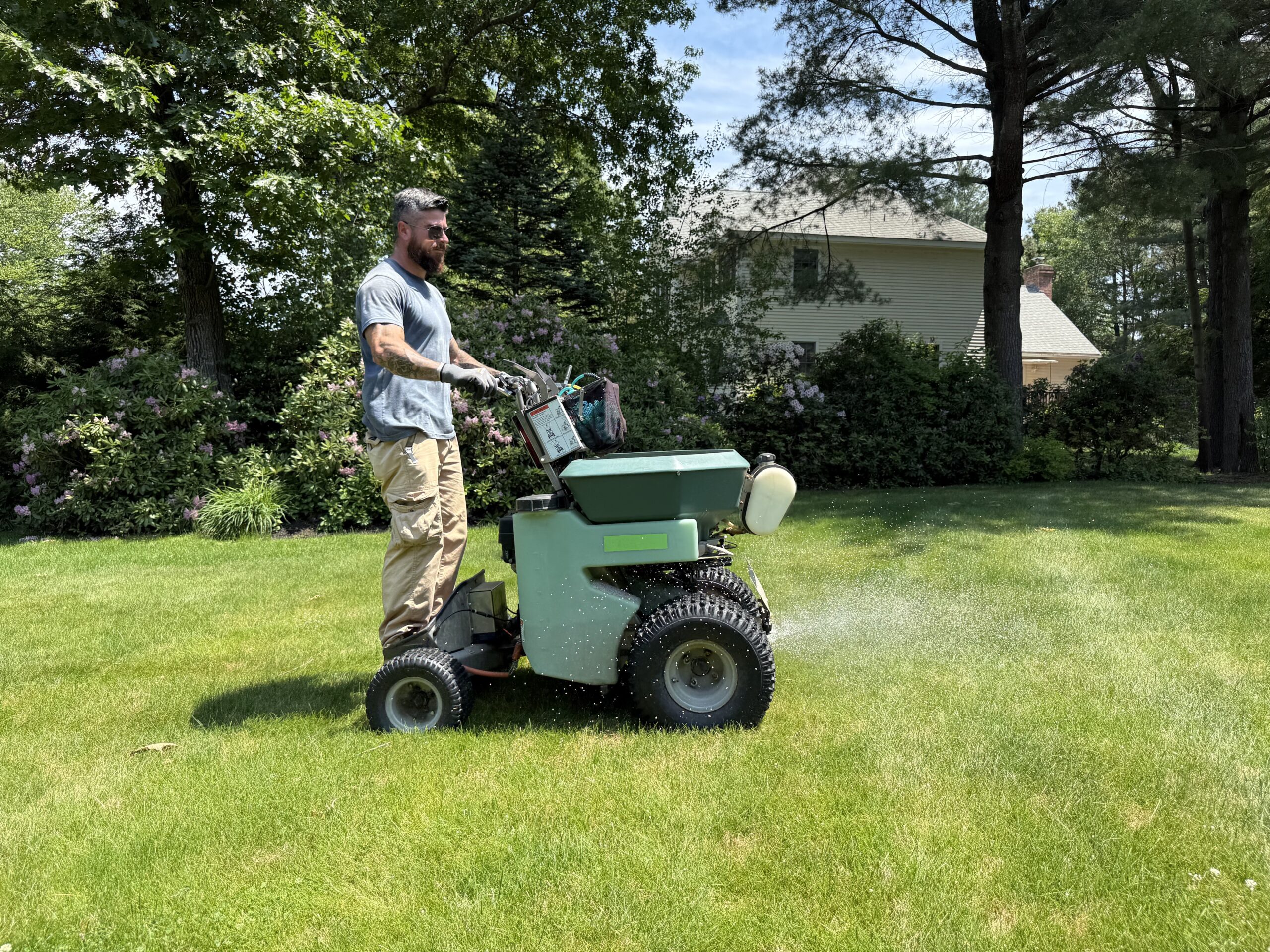 Professional lawn weed control service