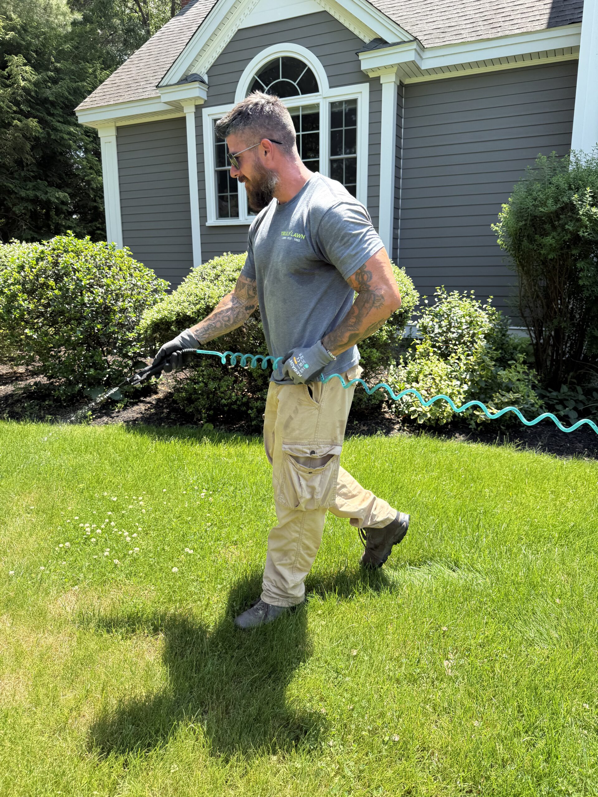 Weed control application for lawn weeds