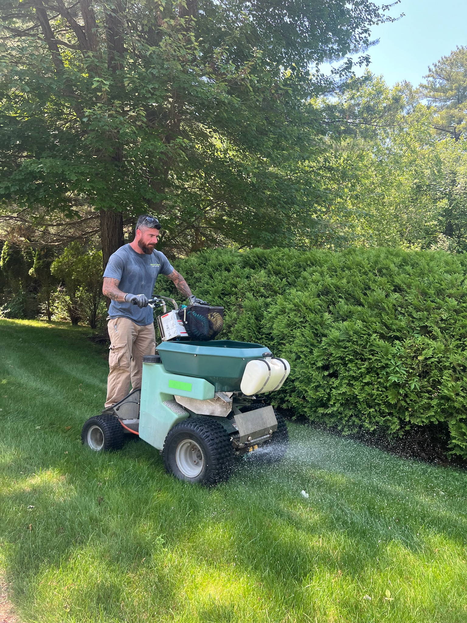 Truly Lawn weed control service