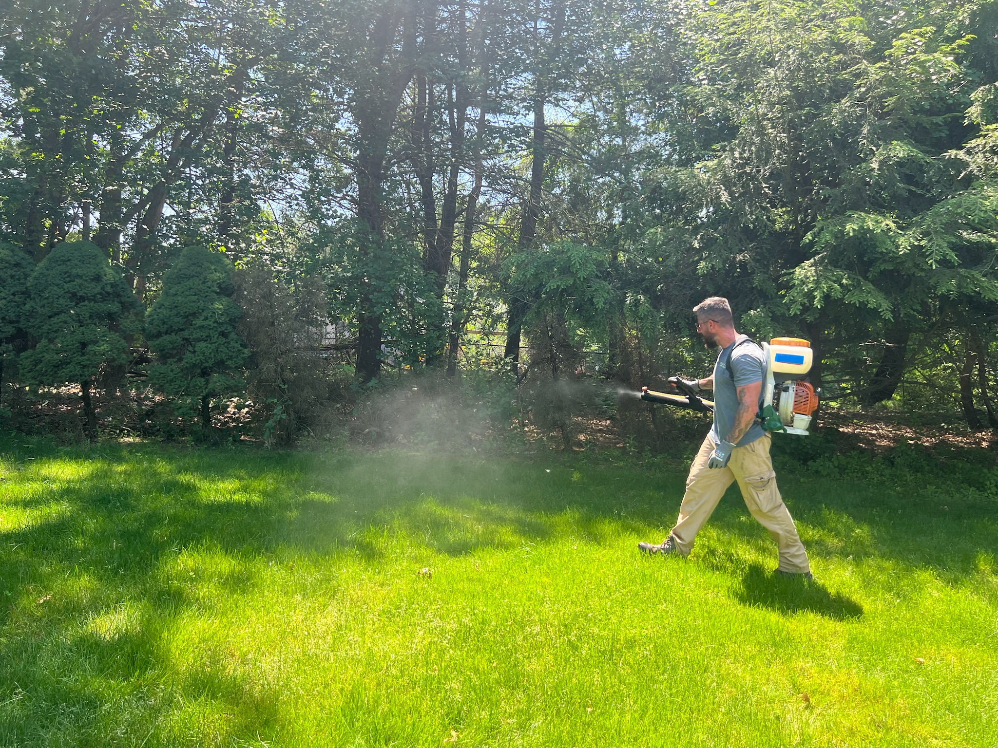 Mosquito control treatment for a Massachusetts yard