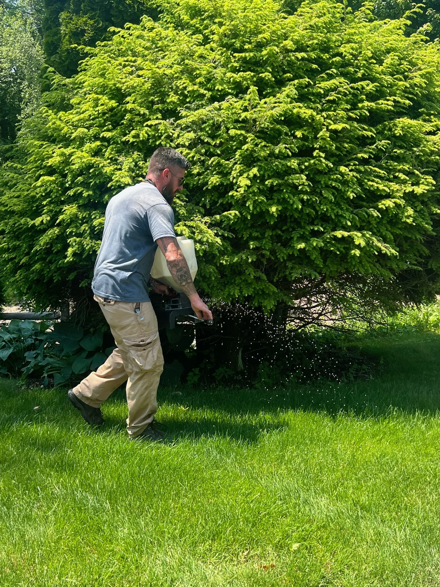 Truly Lawn granular lawn fertilization service in Massachusetts