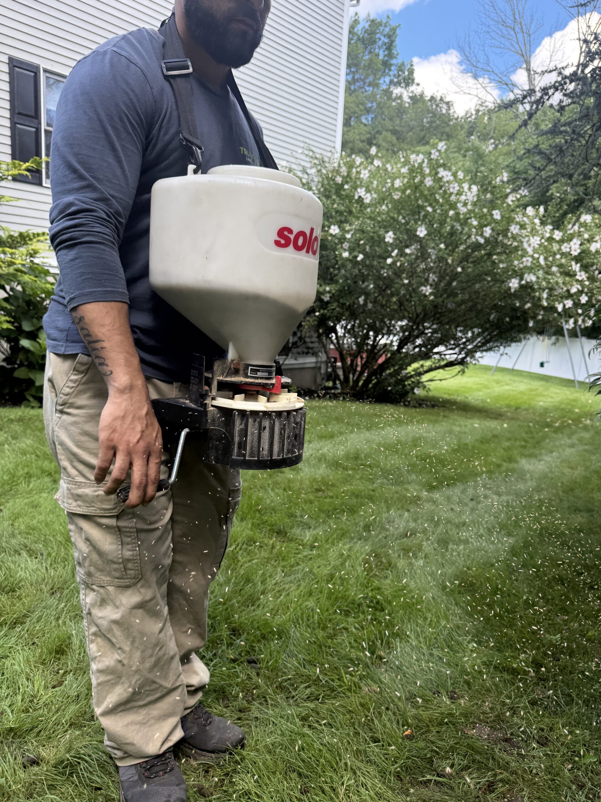 Lawn overseeding seed application for Massachusetts turf