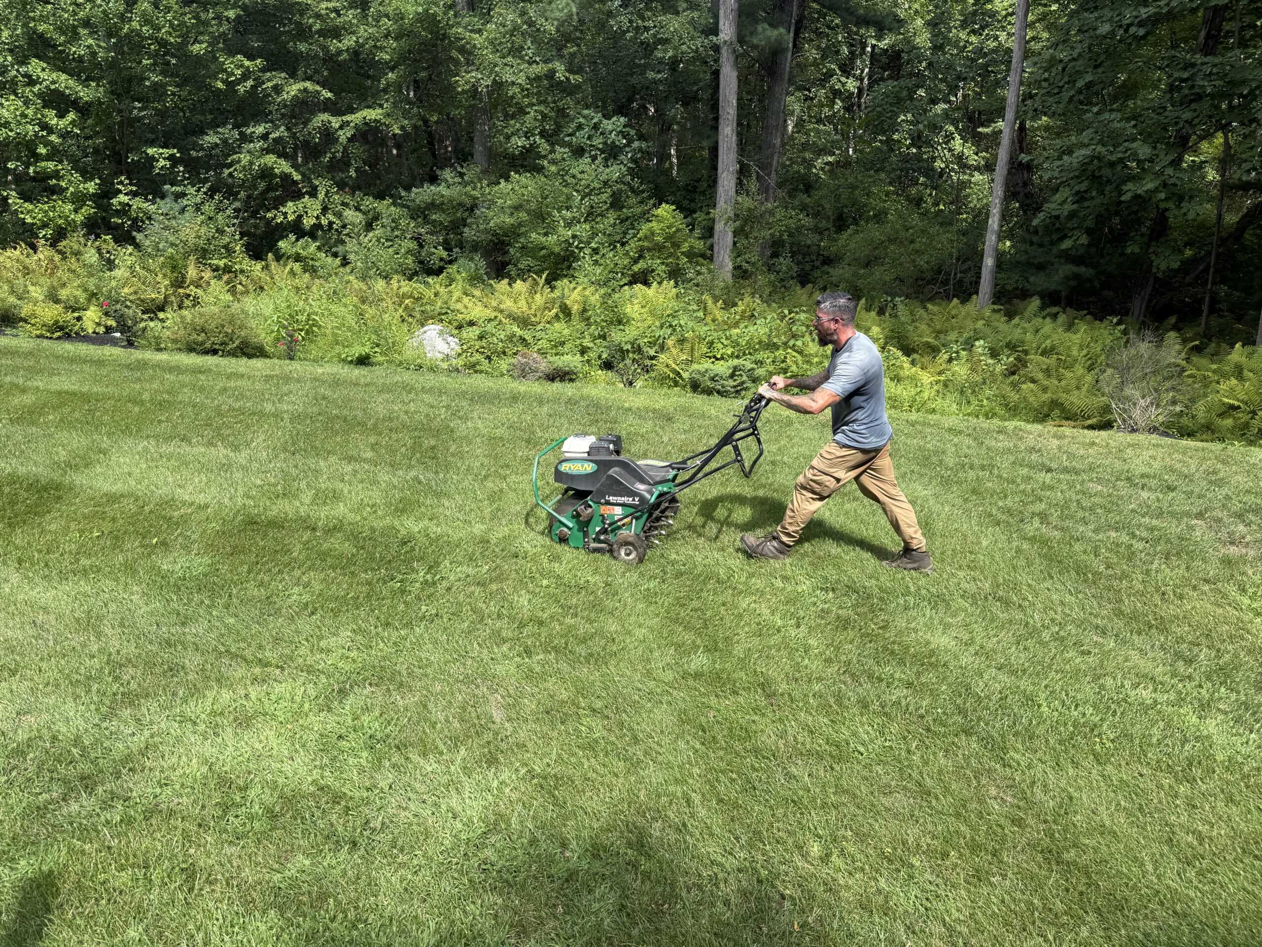 Professional lawn aeration treatment in Massachusetts