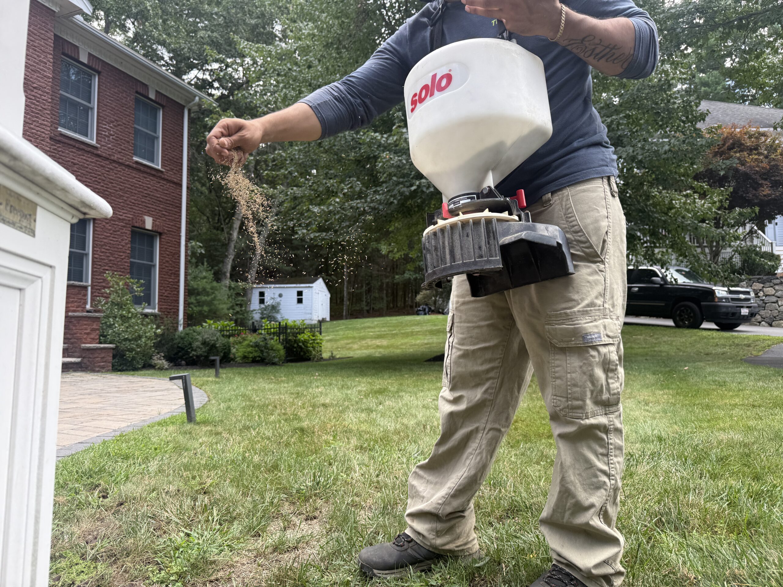 Professional overseeding lawn treatment in Massachusetts