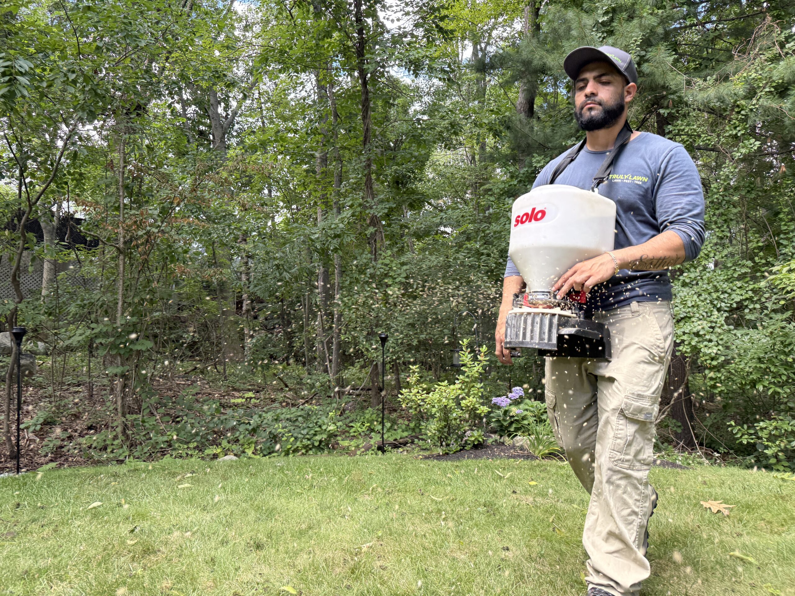 Truly Lawn grass seed overseeding application in Massachusetts